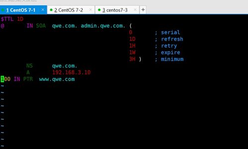 DNS反向解析、主從域名服務(wù)器、分離解析與互聯(lián)網(wǎng)域名根服務(wù)器運(yùn)行機(jī)制解析